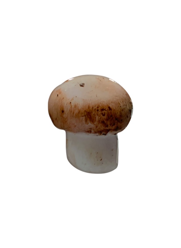 Mushroom griptok