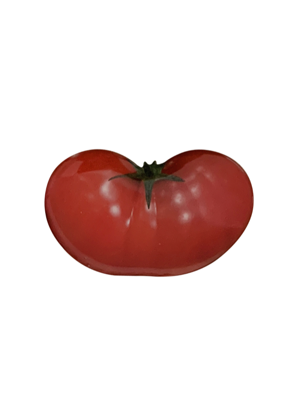 Tomato griptok