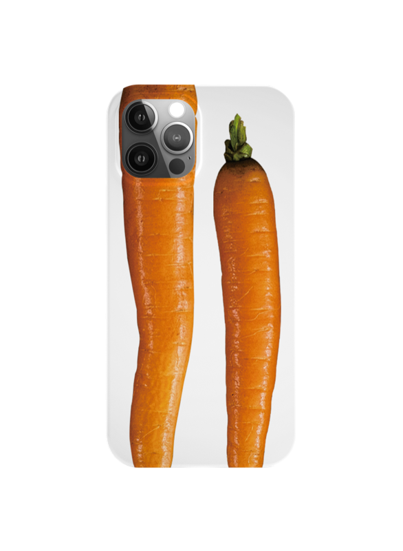 Carrot case