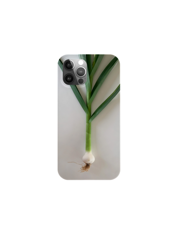 Garlic case