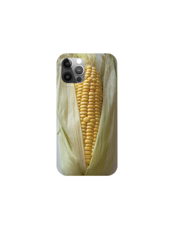 Corn case